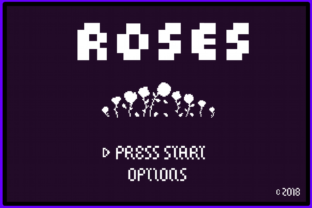 8 Bit Roses: A Retro-Inspired Display Font for Campaign Graphics That Pop