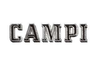 Campi: A Bold Display Font for Vintage-Inspired Web Design