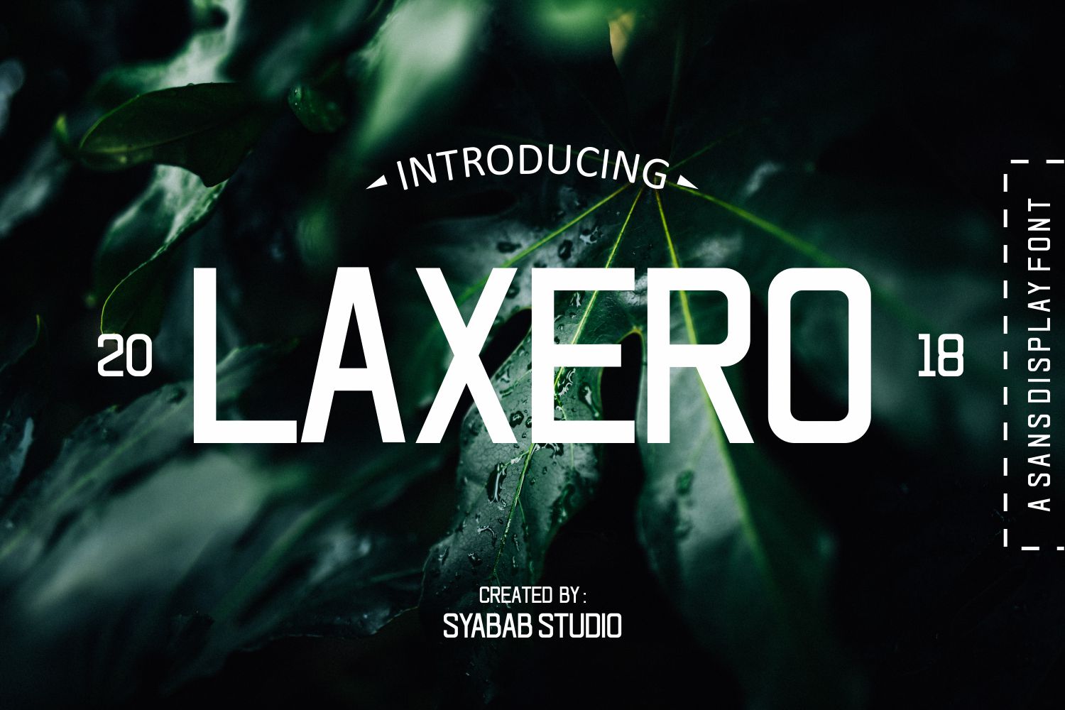 Laxero Font: Bold Script Typography for Web Design