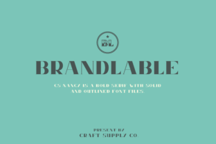 Nancy: A Gorgeous Serif Font for Handmade Labels and Creative Projects